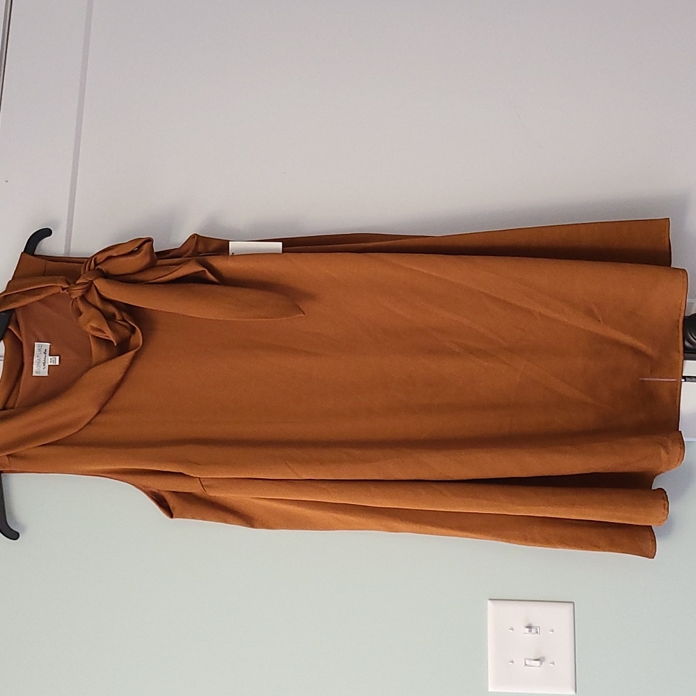 Signature by Robbie Bee dress